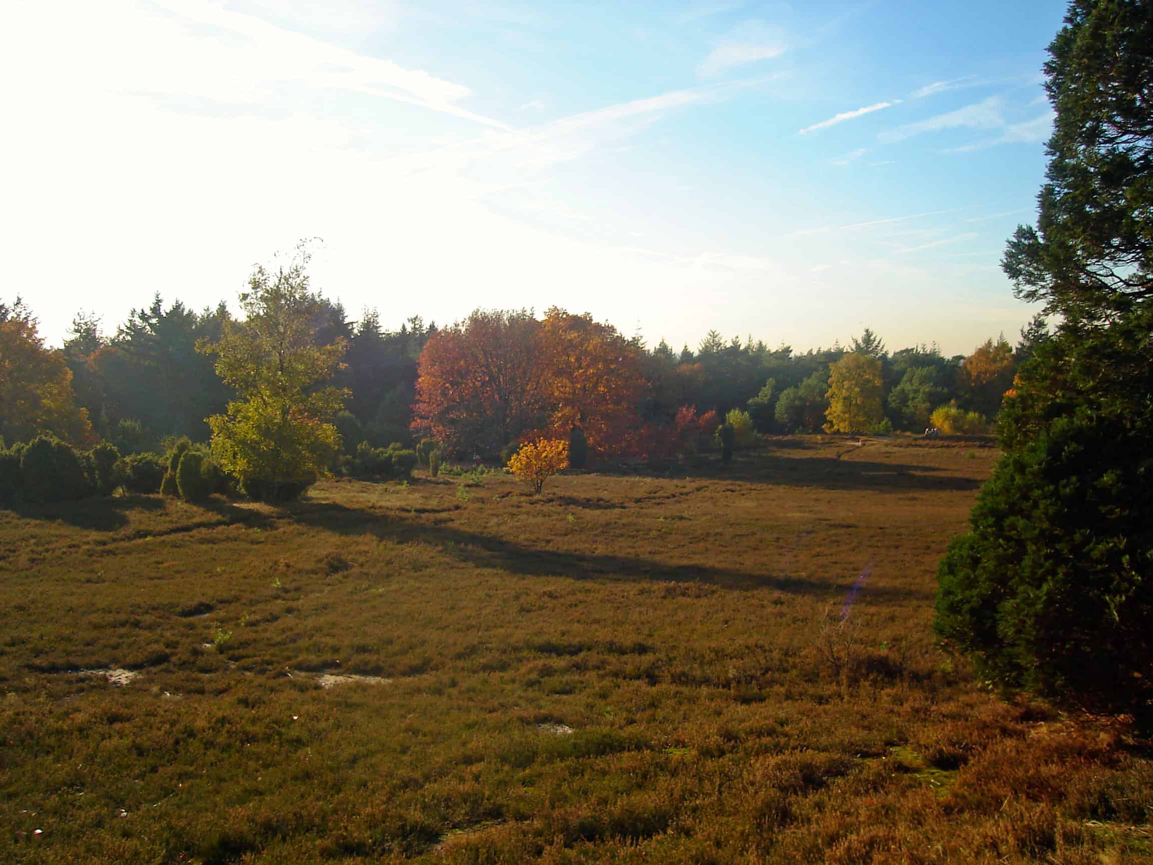 Lemelerveld