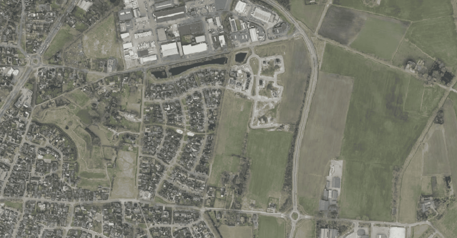 Denekampoost